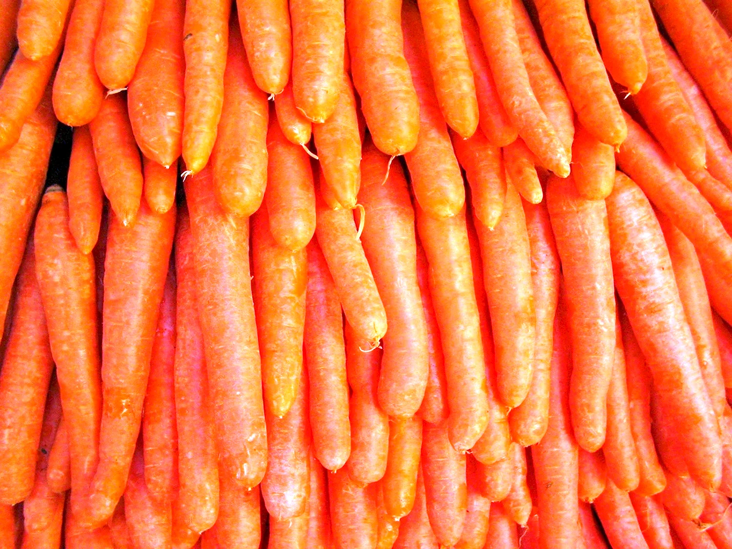 Текстура моркови