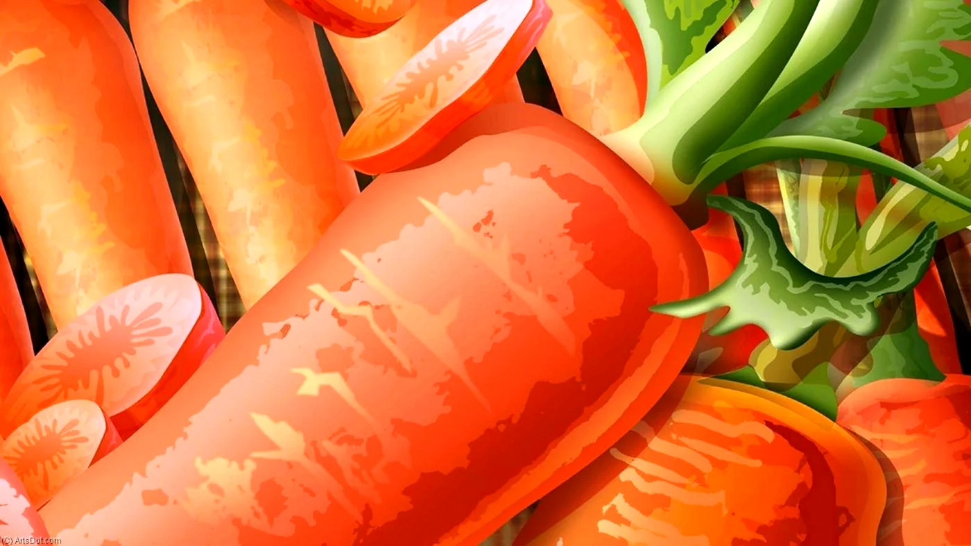 Текстура моркови