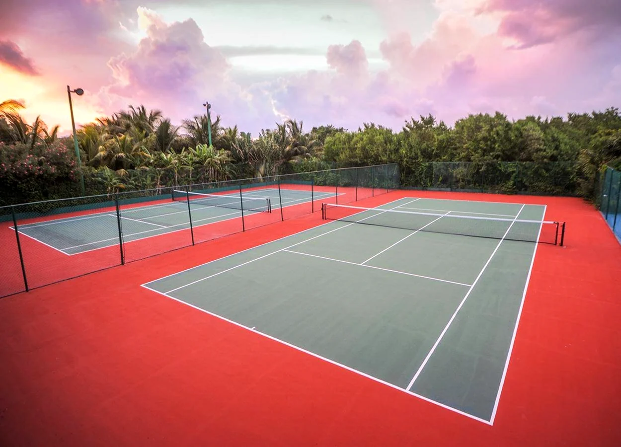 Теннисный корт пальмы