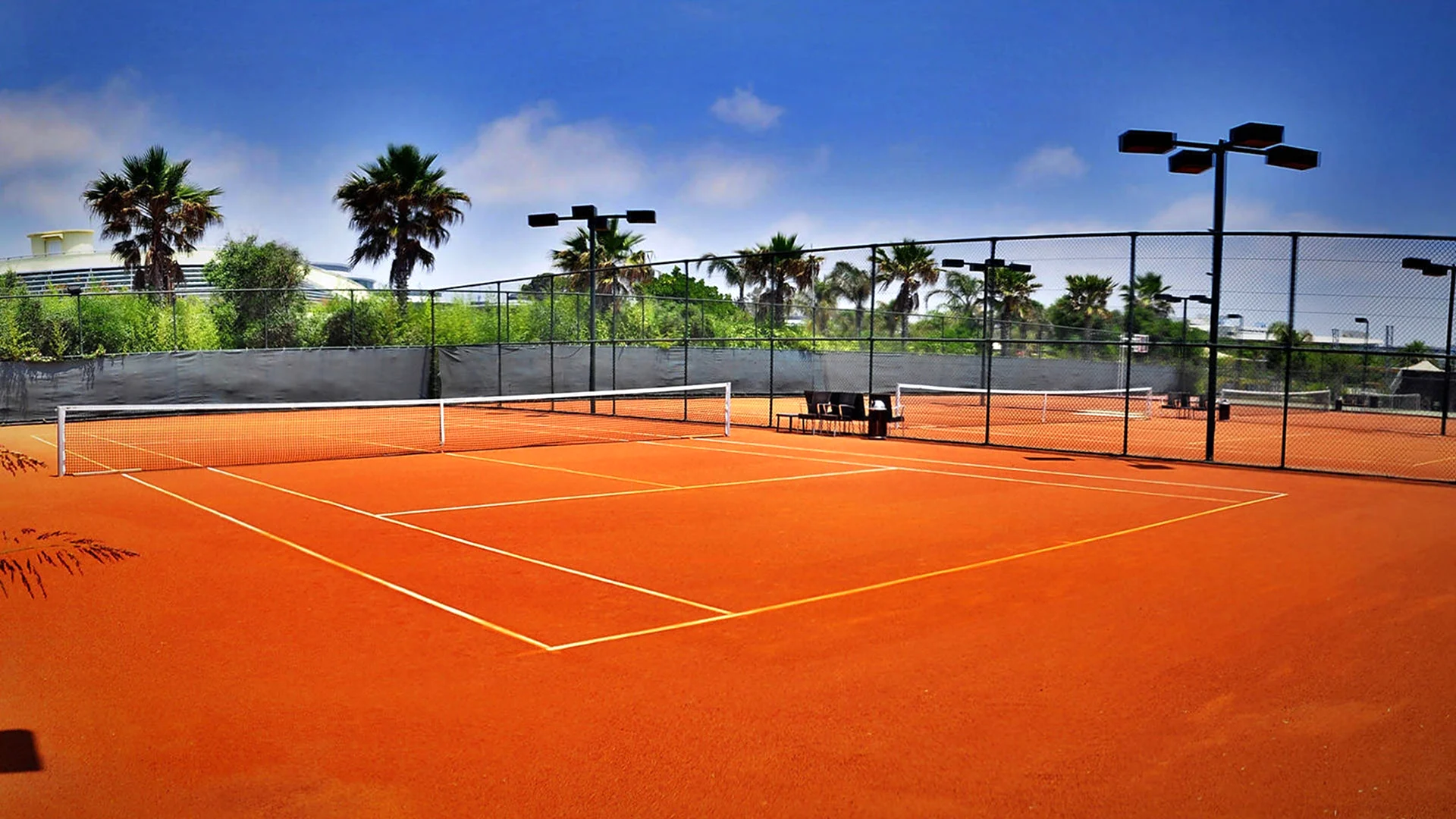 Теннисный корт поле