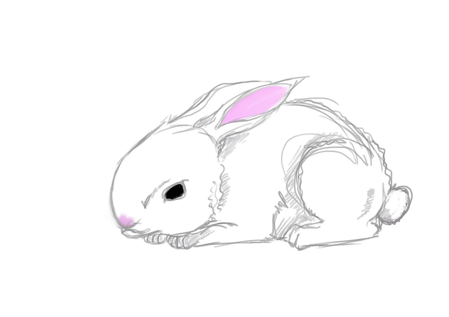 Tiny Bunny скетч
