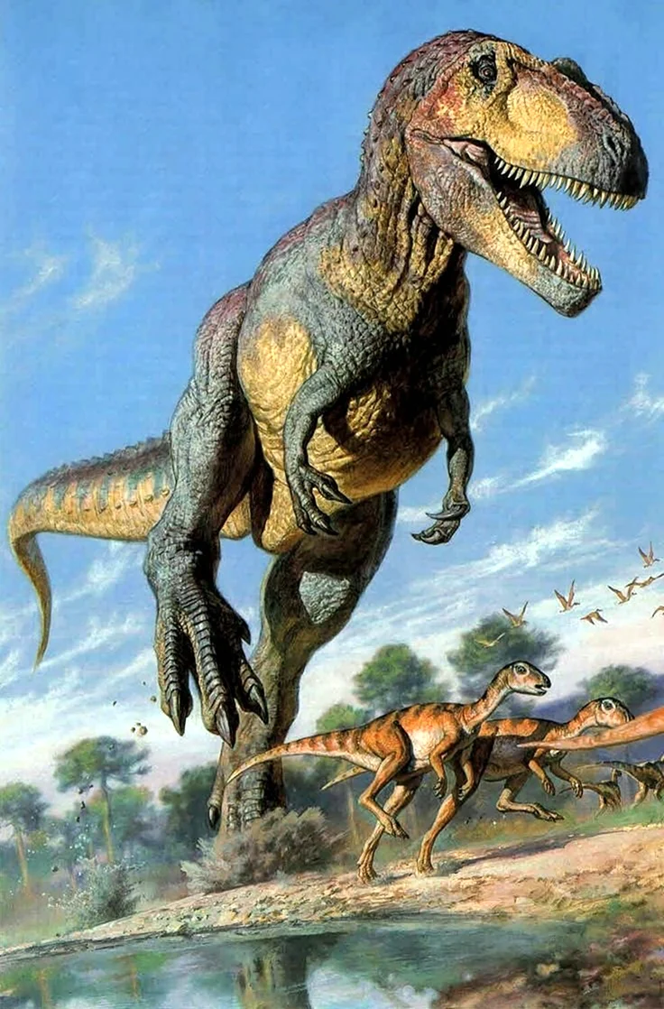 Тираннозавр и Аллозавр