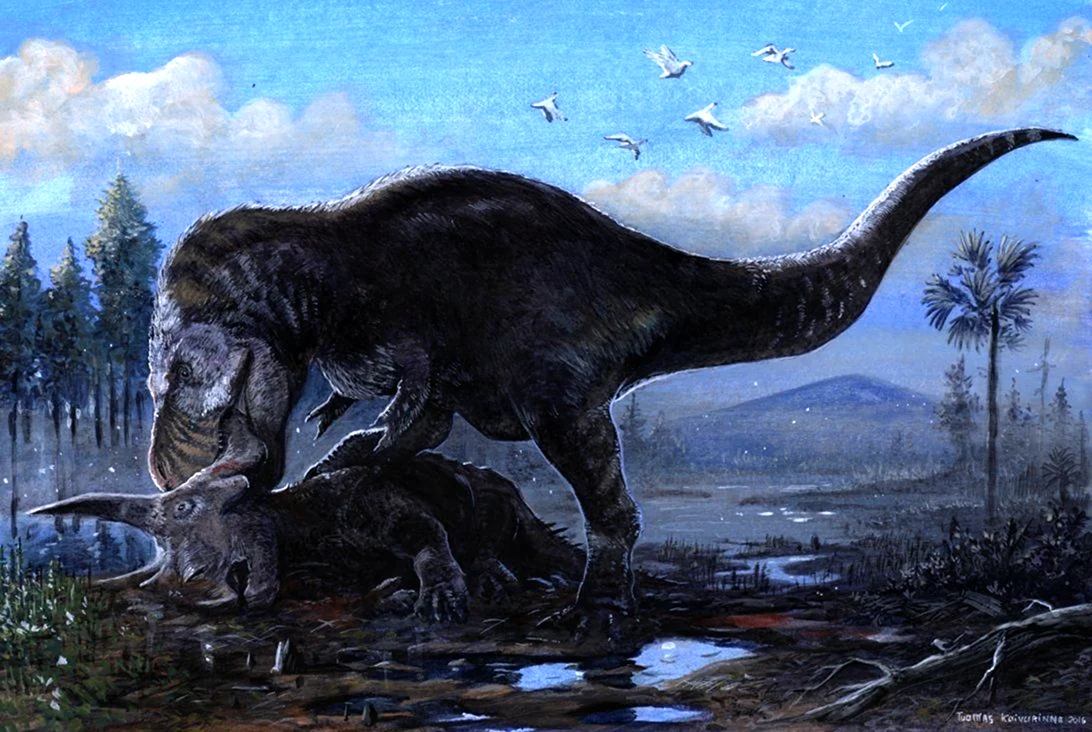 Тираннозавр палеоарт