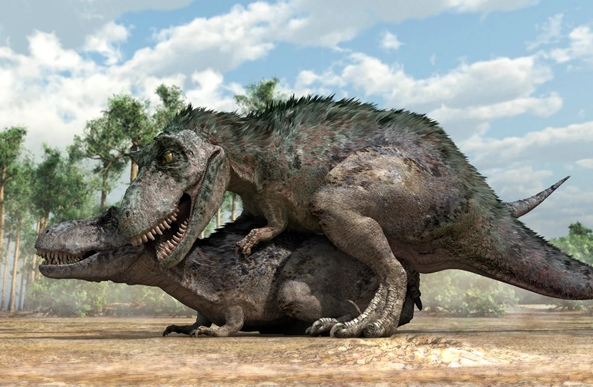Тираннозавр рекс спаривание
