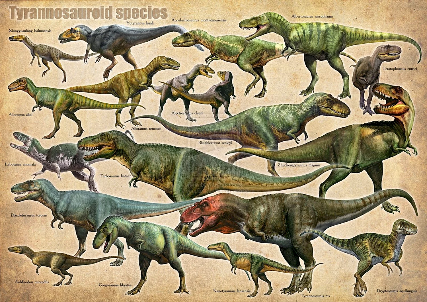Тираннозавриды Tyrannosauridae