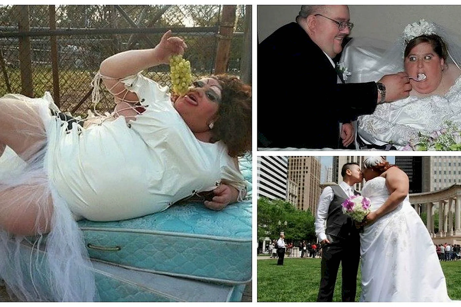 Толстые жених и невеста