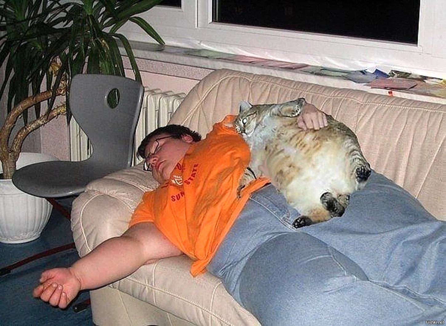 Толстый парень с толстым котом