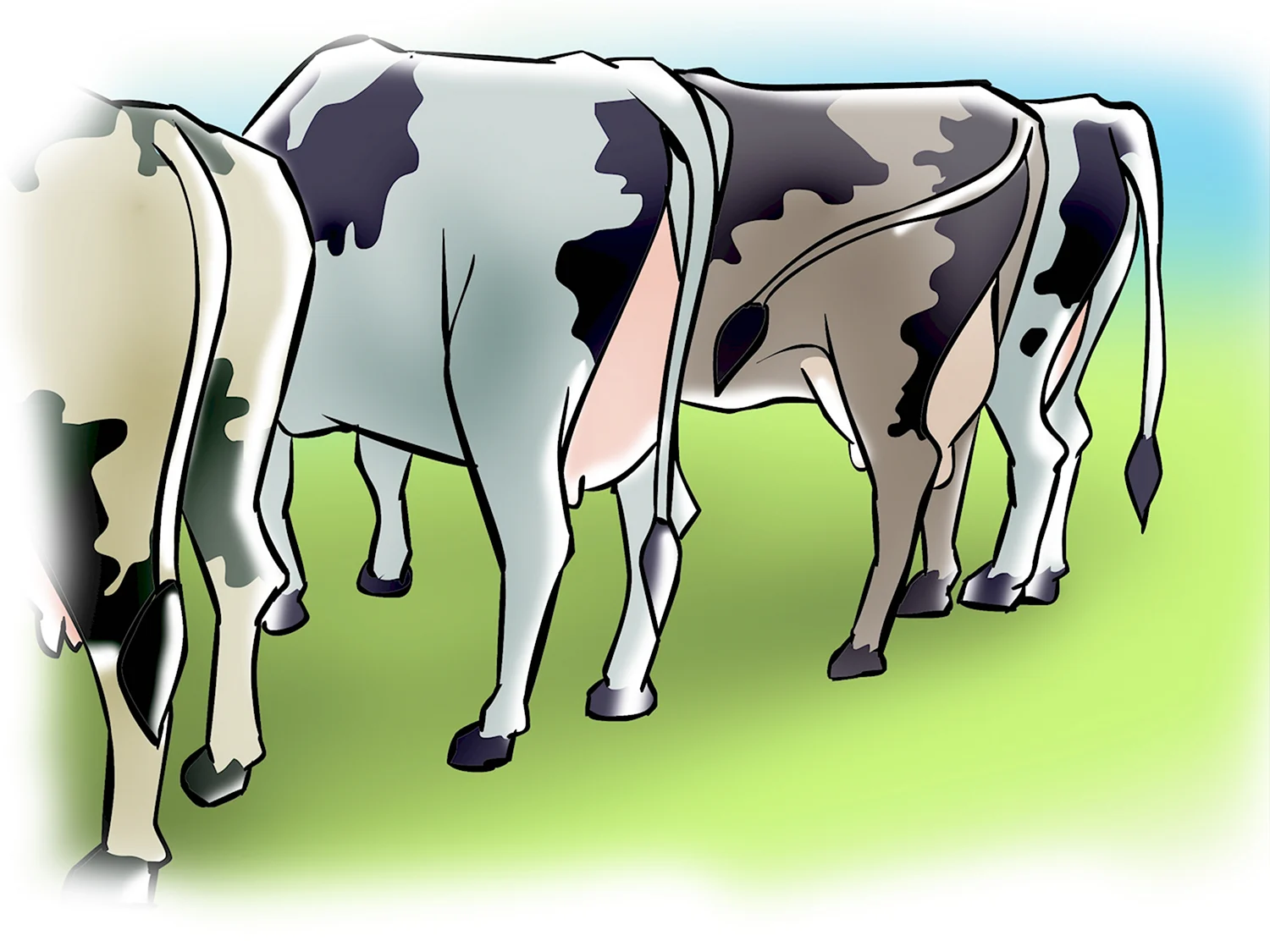 Товары для искусственное осеменение коров