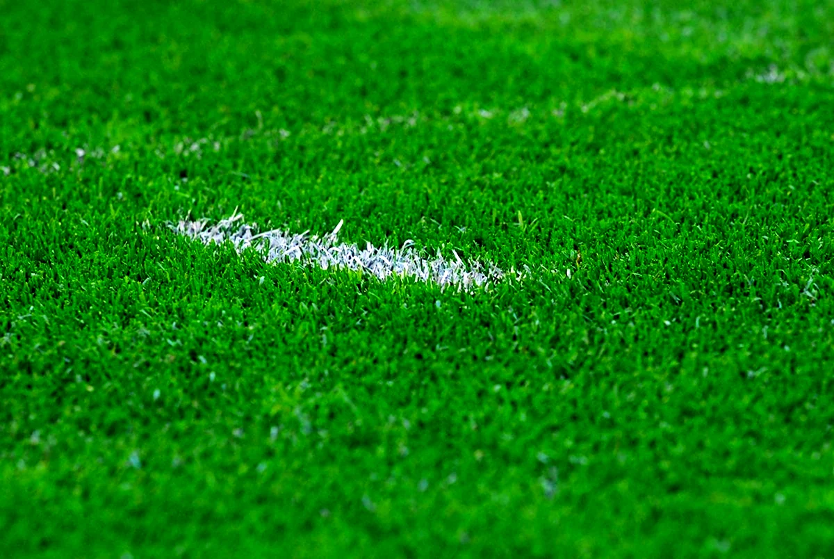 Трава футбольное поле снизу