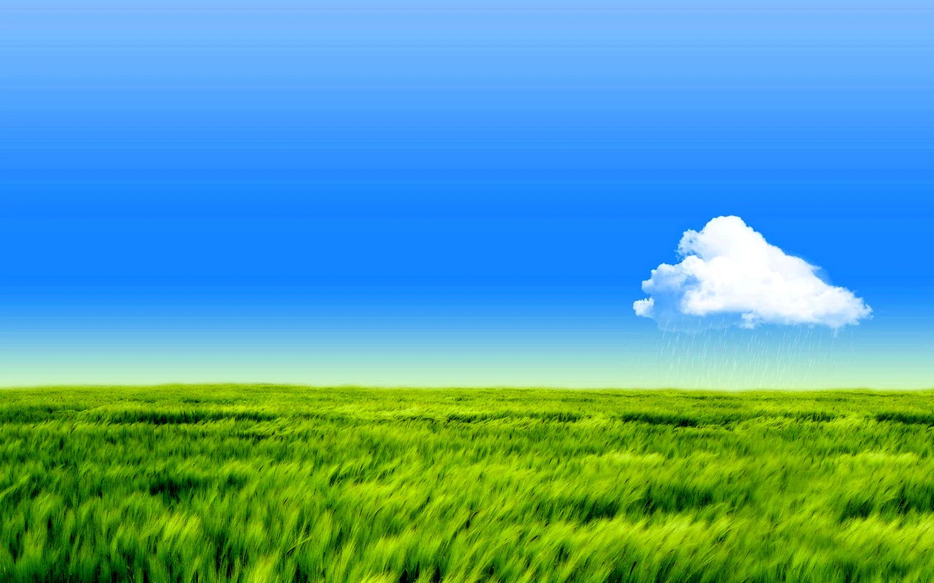 Трава и небо