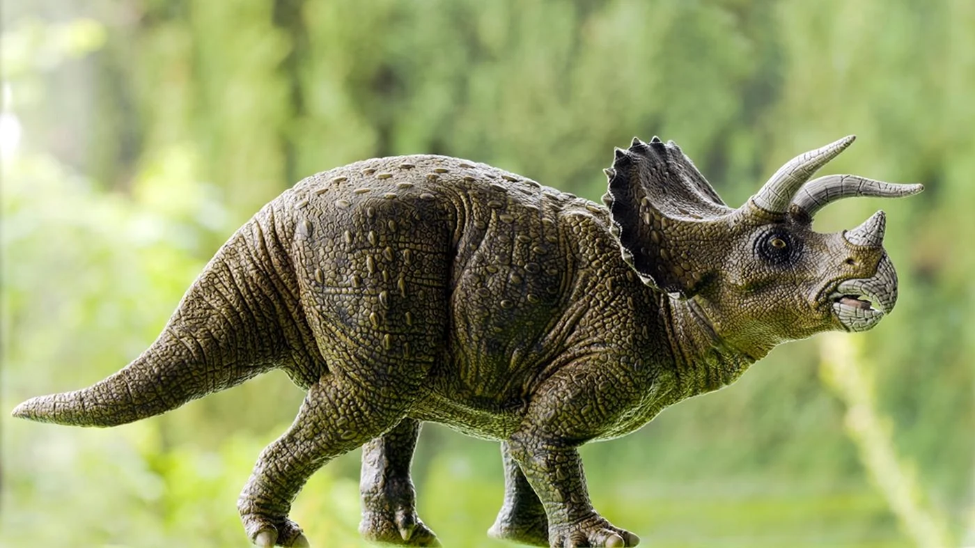 Травоядные динозавры Трицератопс