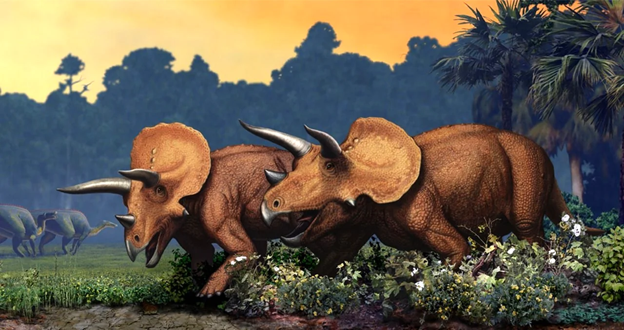 Трицератопс динозавры мелового периода