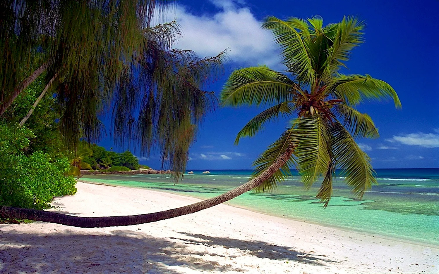 Тропические острова Карибского моря