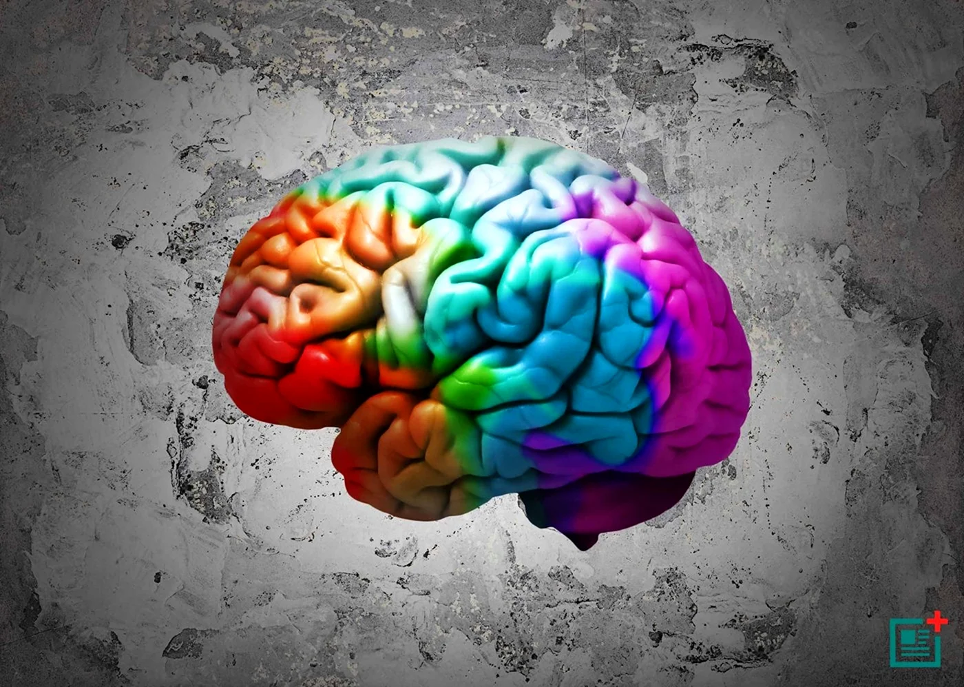 Цветной мозг