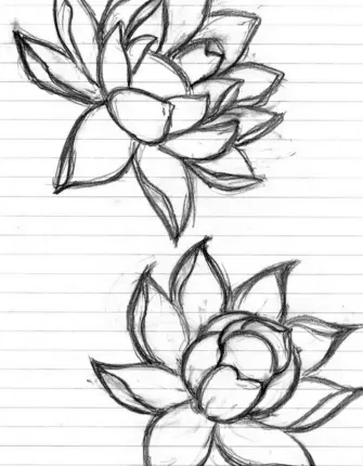 Цветы рисунок карандашом для срисовки