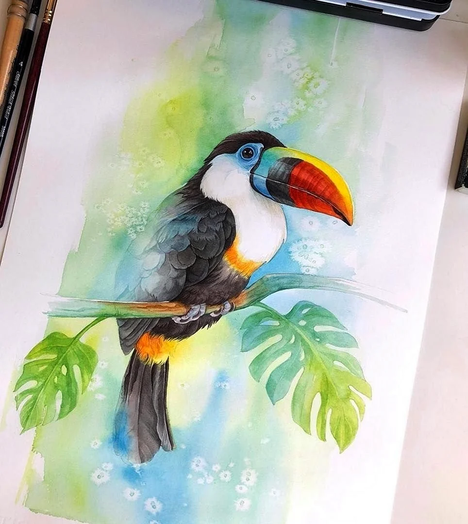 Как нарисовать орла | Рисунок орла карандашом поэтапно