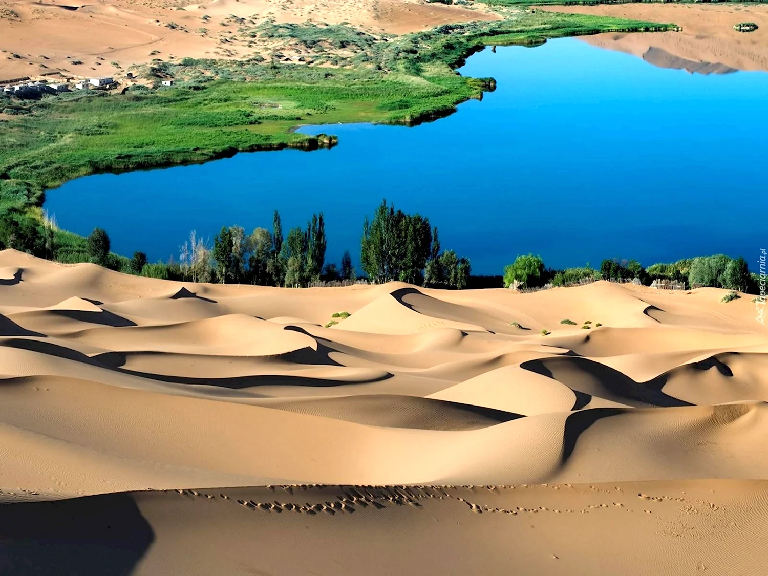 Туркменистан пустыня Оазис