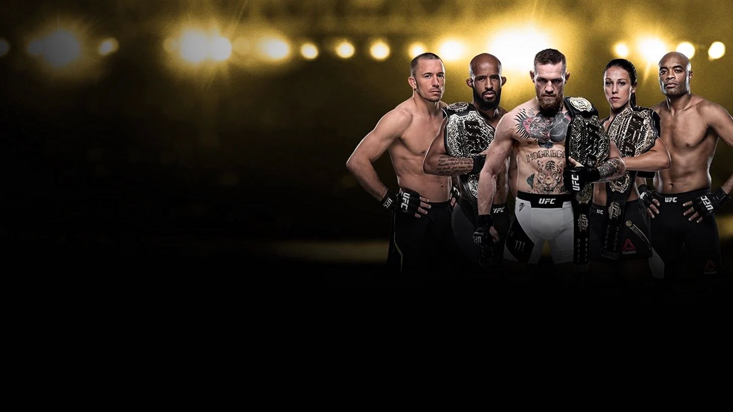 UFC banner