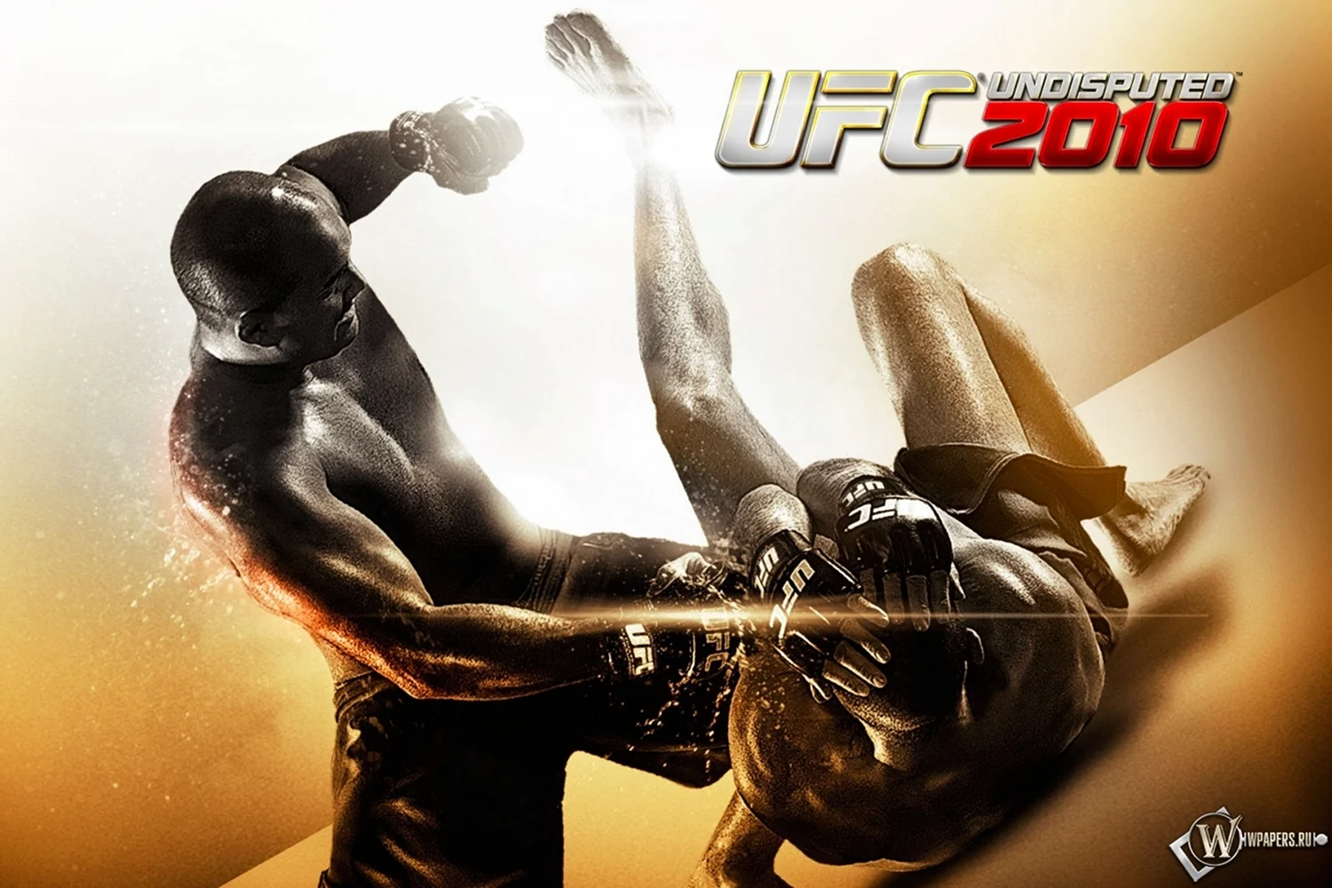 UFC Undisputed 2010 PSP