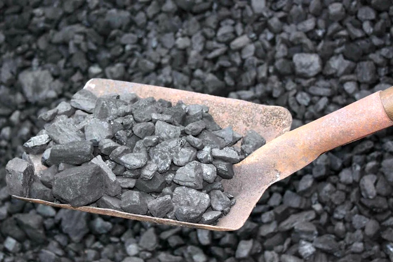 Уголь каменный марки д фракция 20-50мм мешок 25кг.