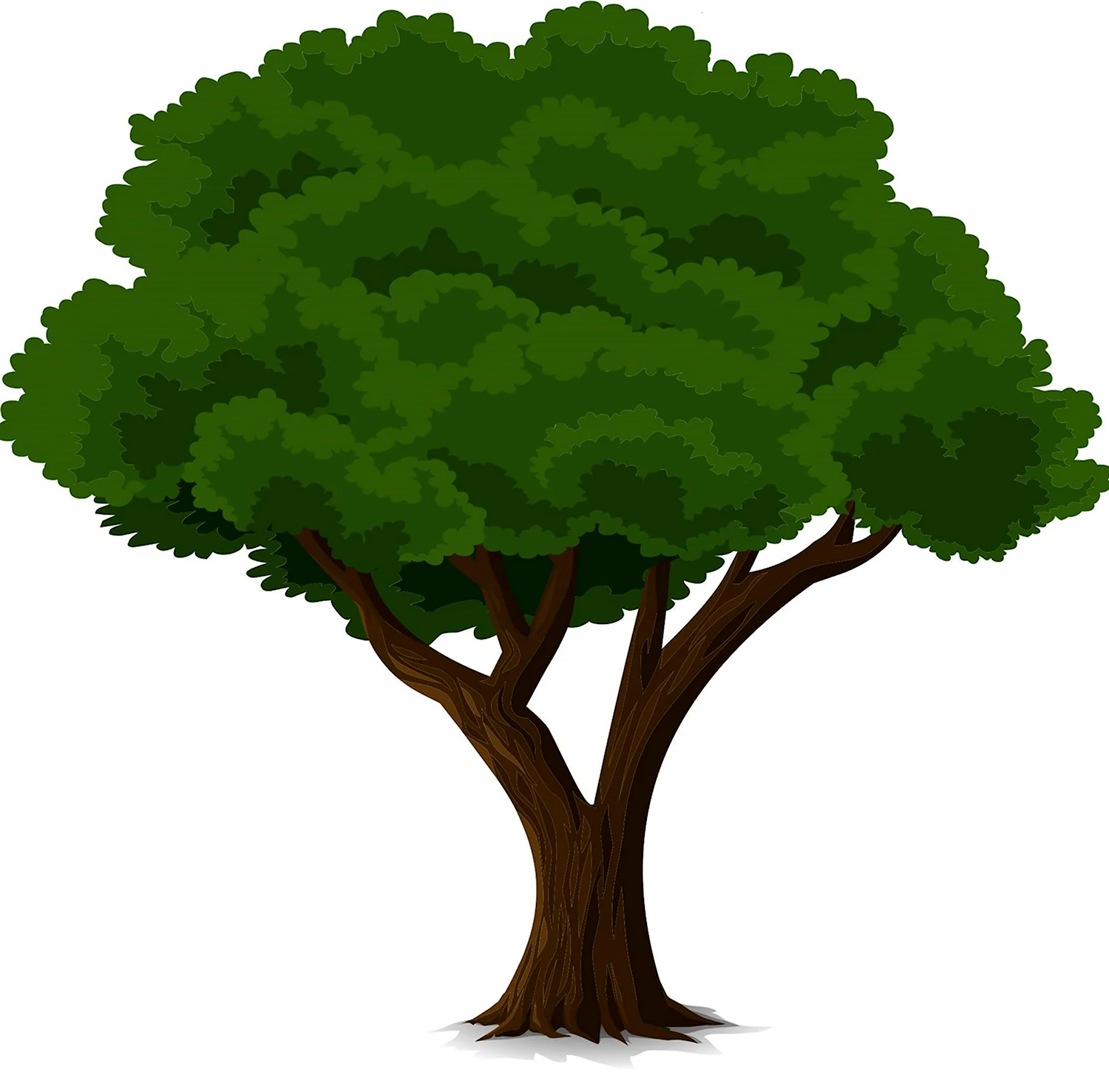 Векторное дерево