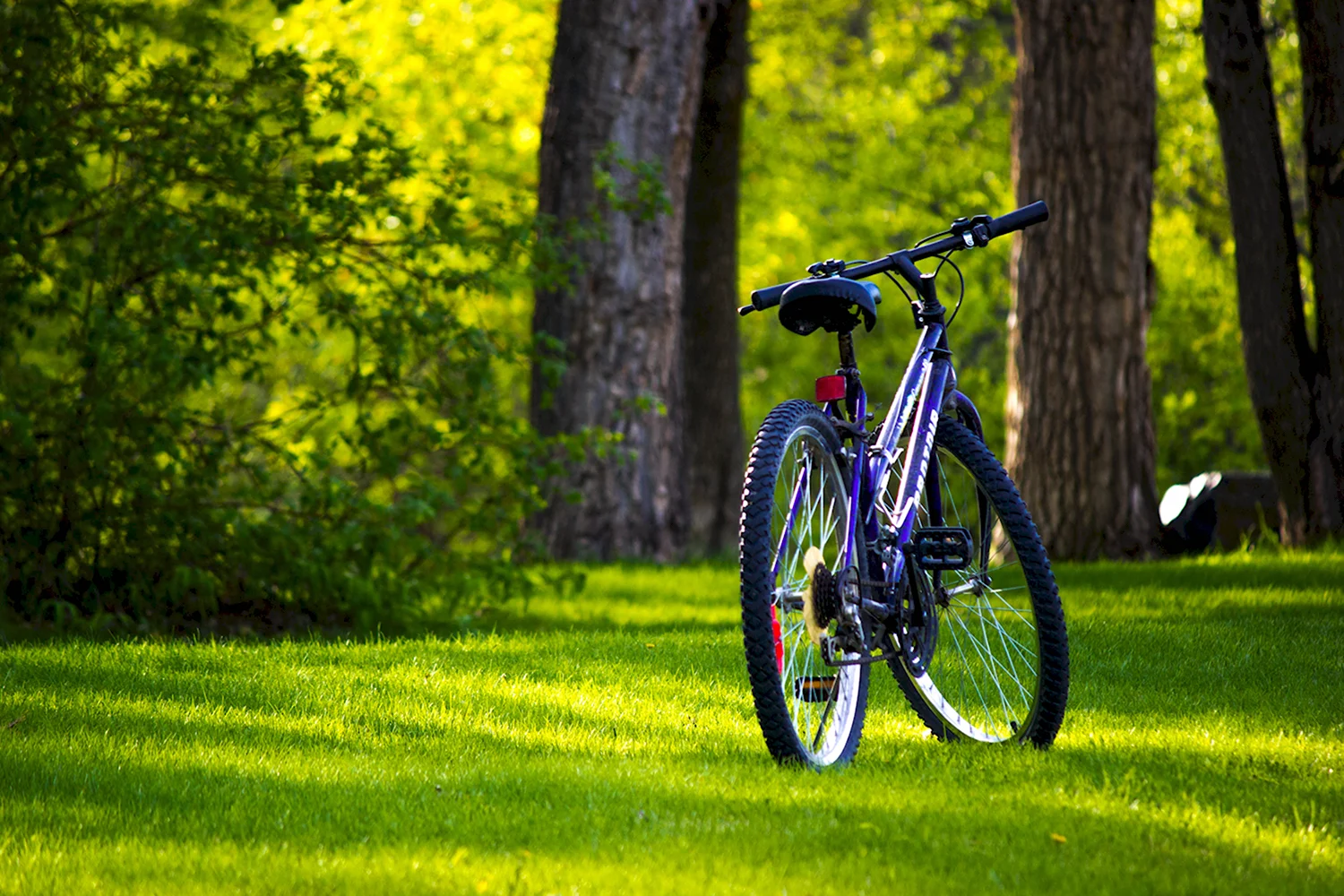 Велосипед в парке