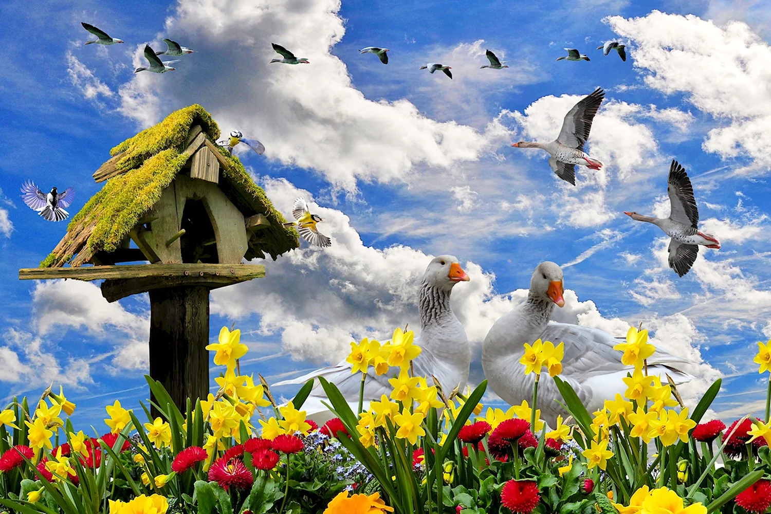 Весна солнце цветы птицы