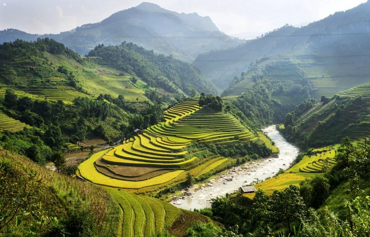 Вьетнам равнина