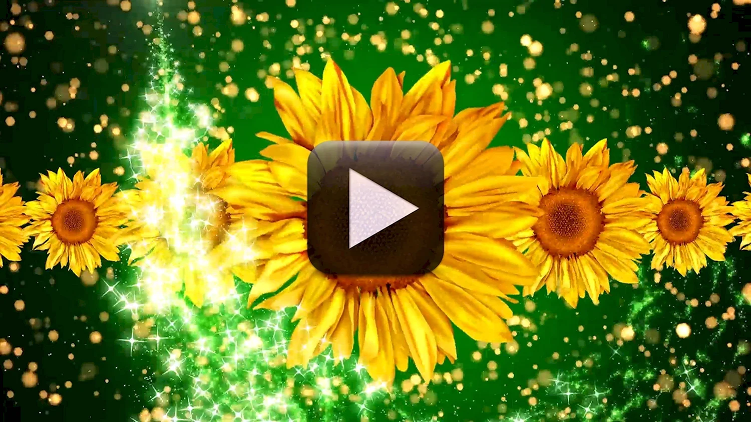 Видеофон для видеомонтажа цветы