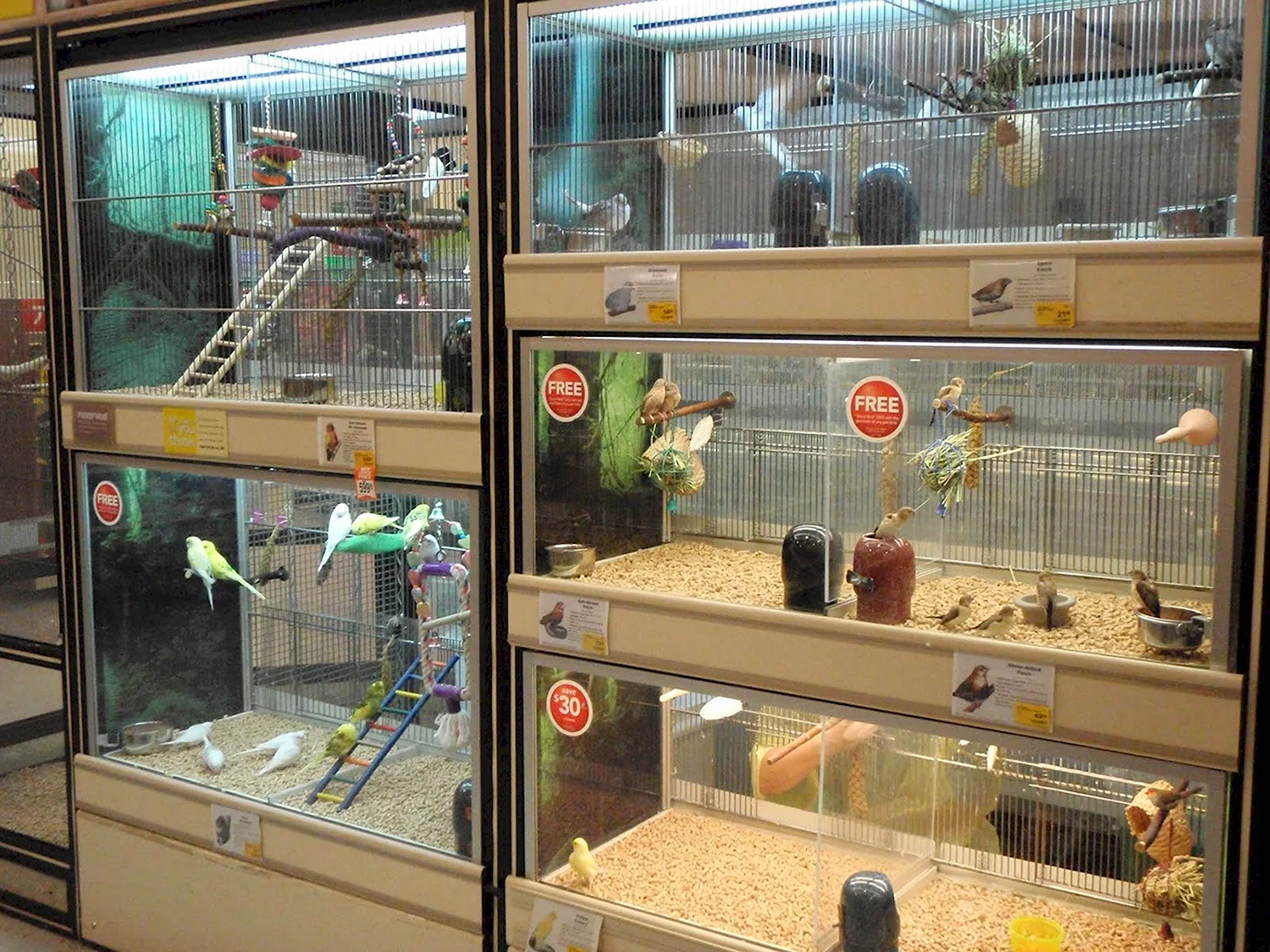 Витрины для птиц в зоомагазин