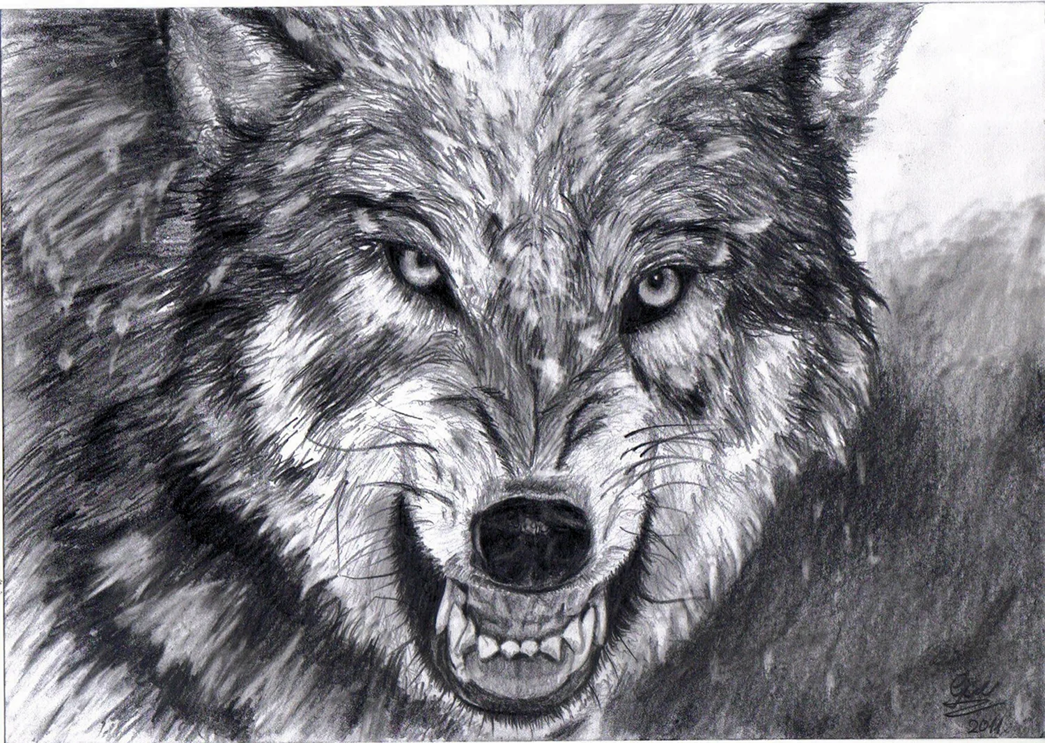 Волчий оскал карандашом