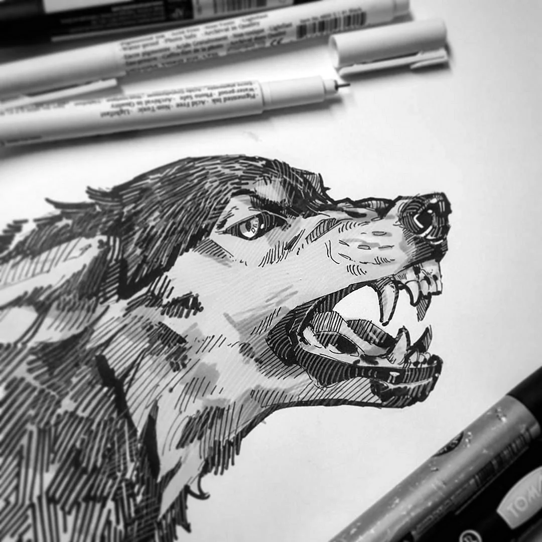 Волк черной ручкой