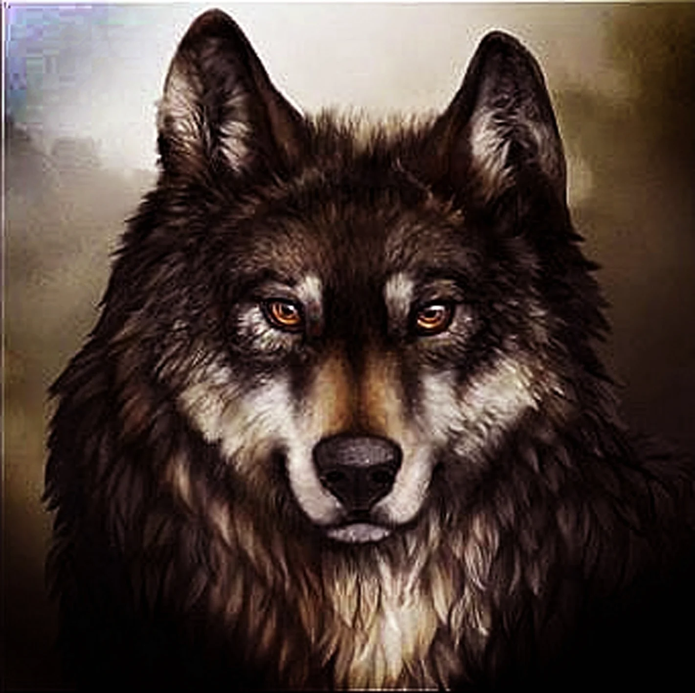 Красивые картинки волки (40 фото) 🔥 Прикольные картинки и юмор
