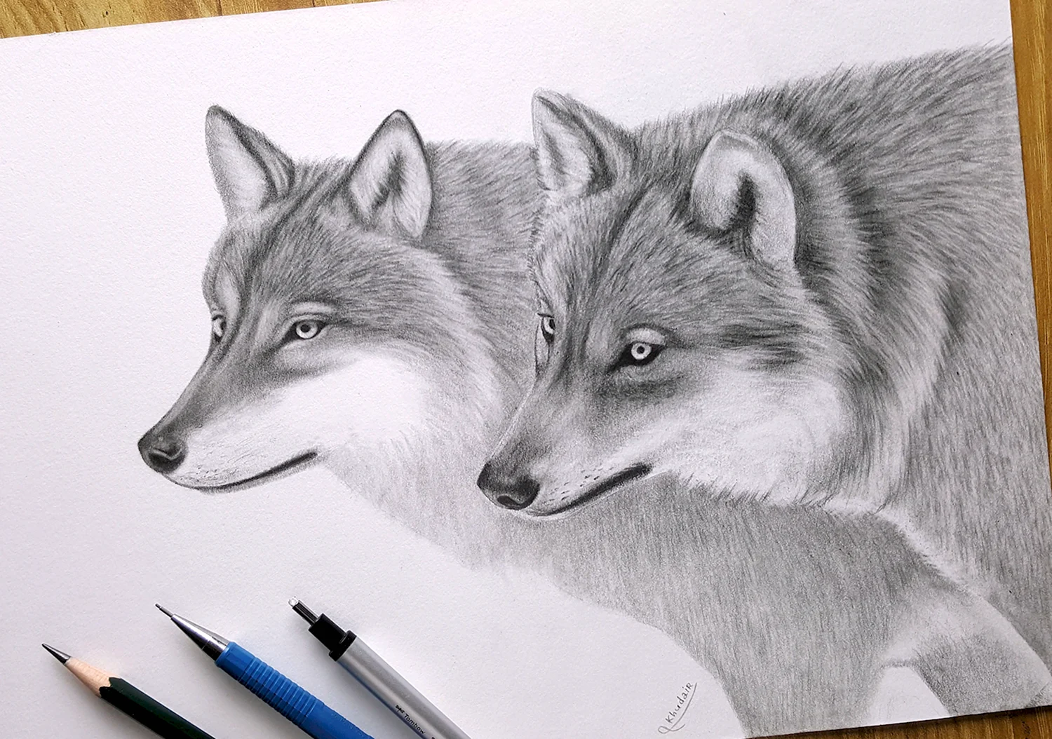 Волк рисунок карандашом профессиональный