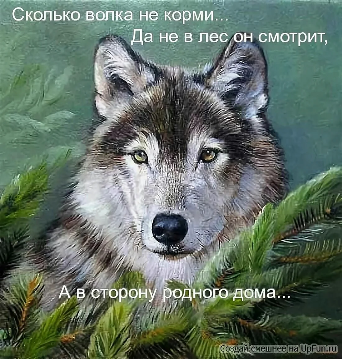 Волк с надписью. Открытки с волками с надписями. Пожелания с изображением волка. Открытка с волком с днем рождения.