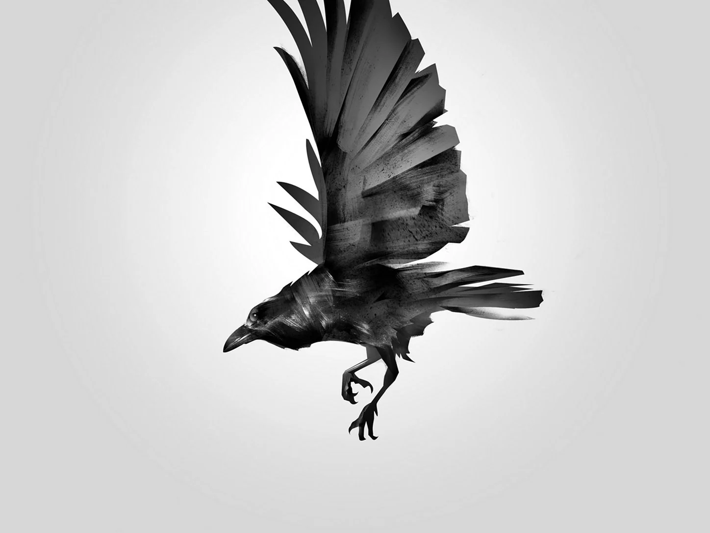 Ворона с раскрытыми крыльями