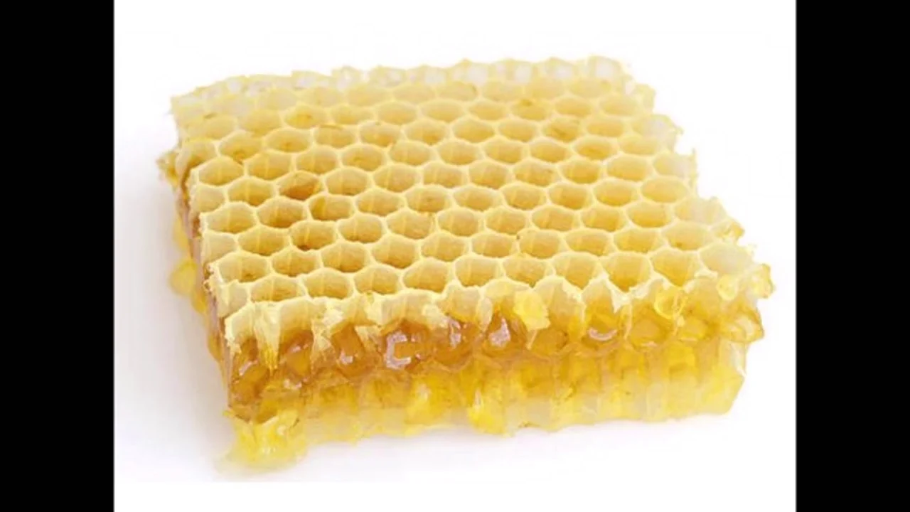 Восковые соты для пчел