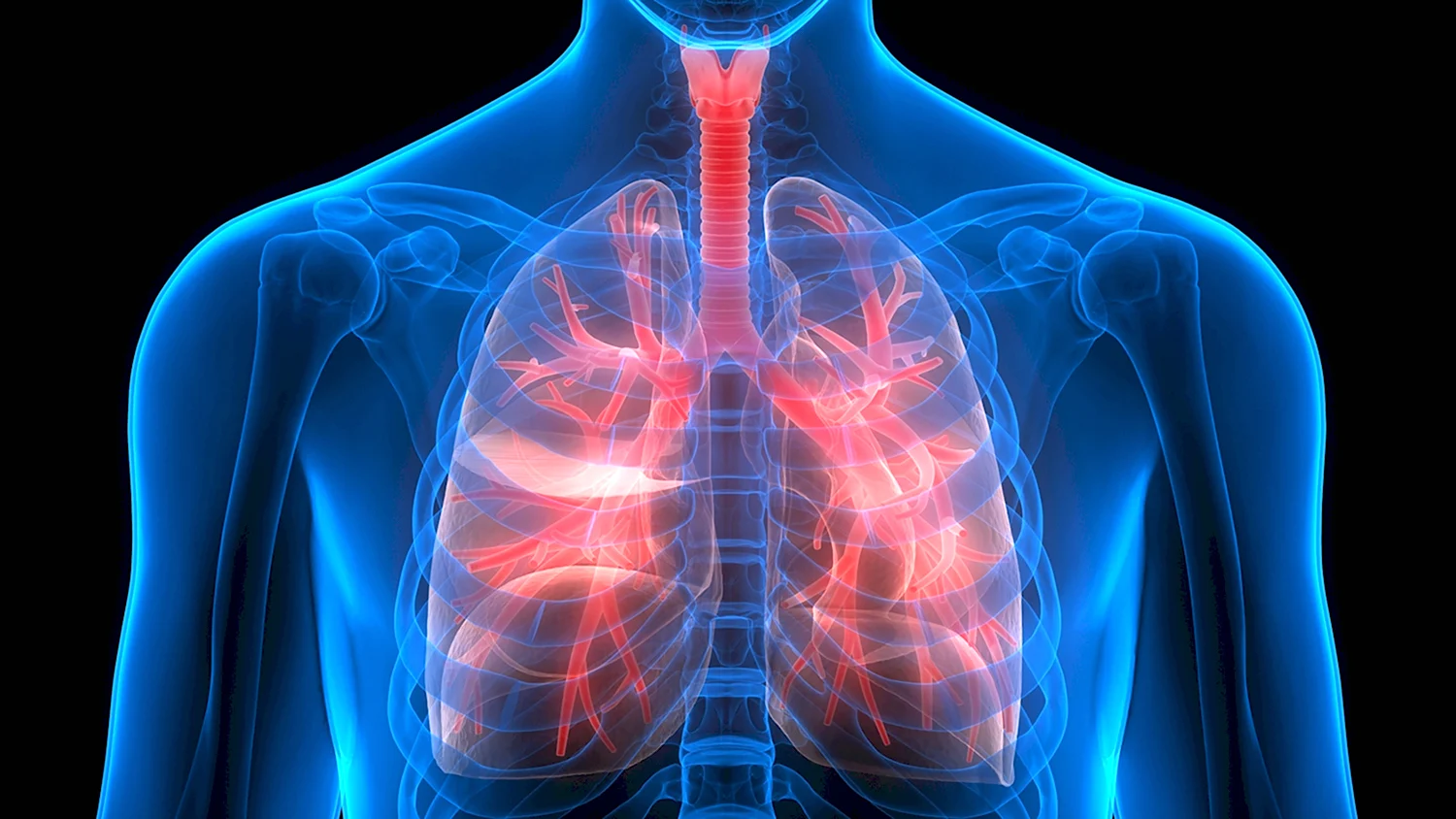 Воспаление органов дыхания