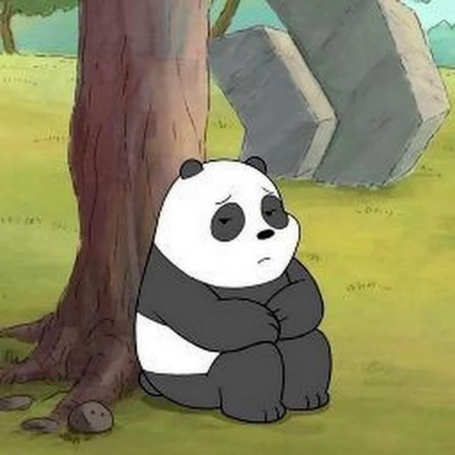 Вся правда о медведях Панда грустный