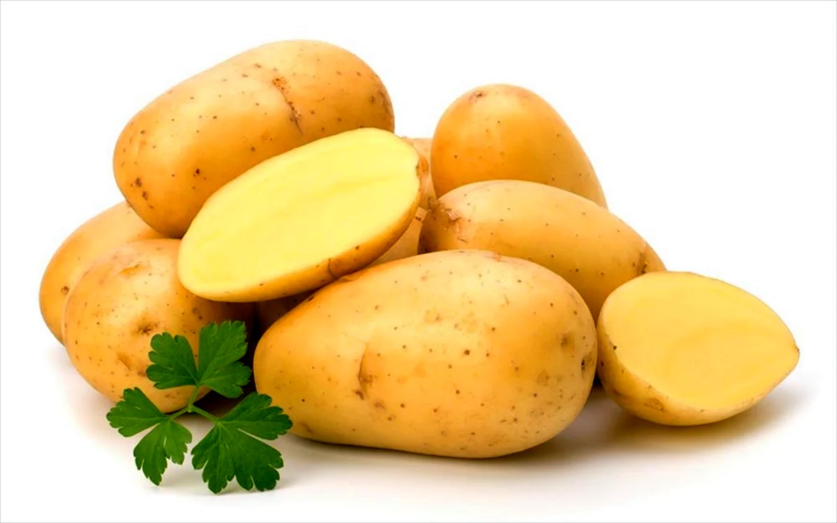 Зарачка сорт картофеля