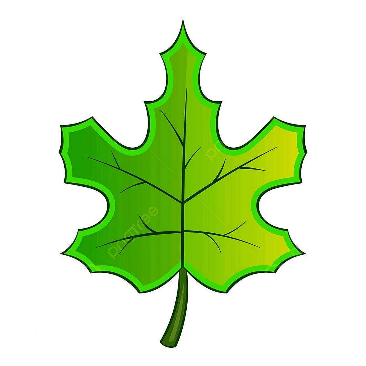 Зеленый листик клена мультяшный