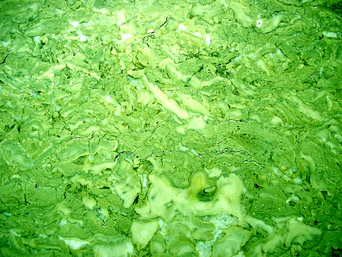 Зеленый мрамор