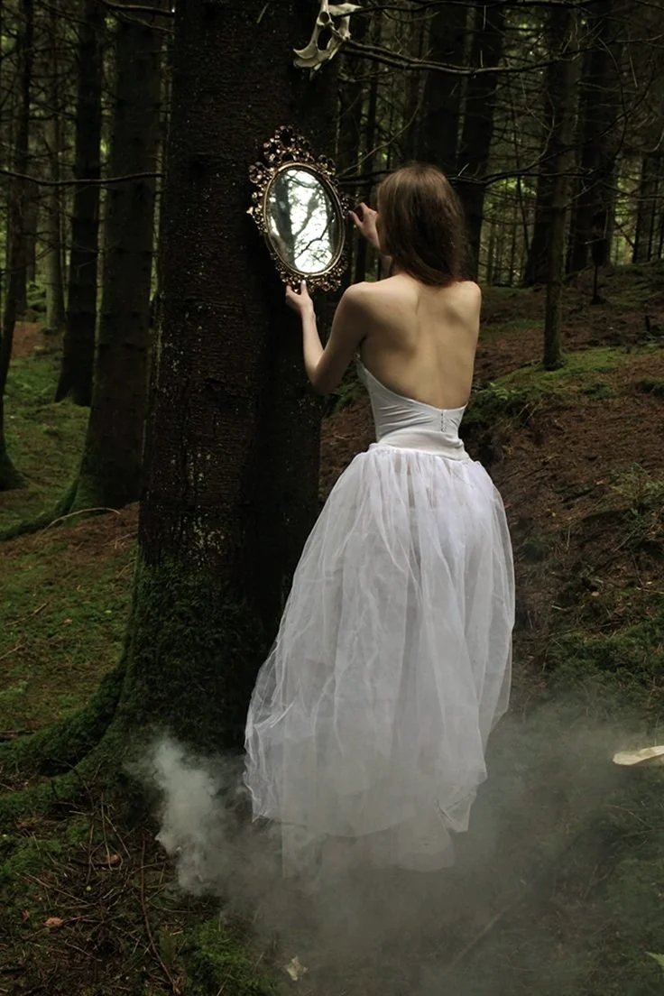 Зеркало в лесу