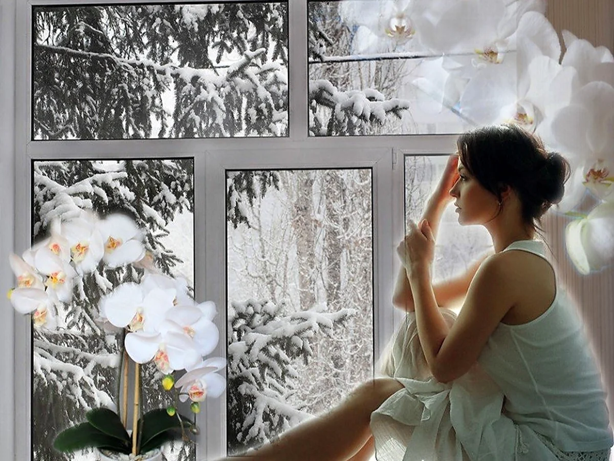 Посмотри в окно найди. Женщина у окна зимой. Женщина у зимнего окна. Цветы на окне.