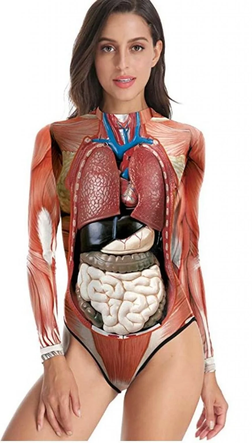 Анатомия внутренних органов женщины фото. Анатомия женщины. Анатомия женского тела. Человеческое тело женское.