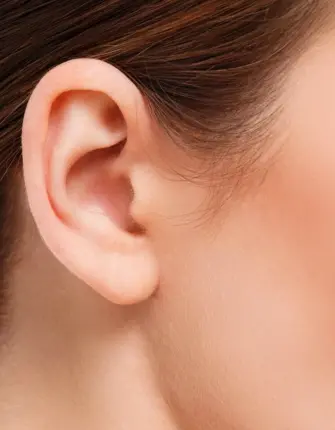 Женское ухо