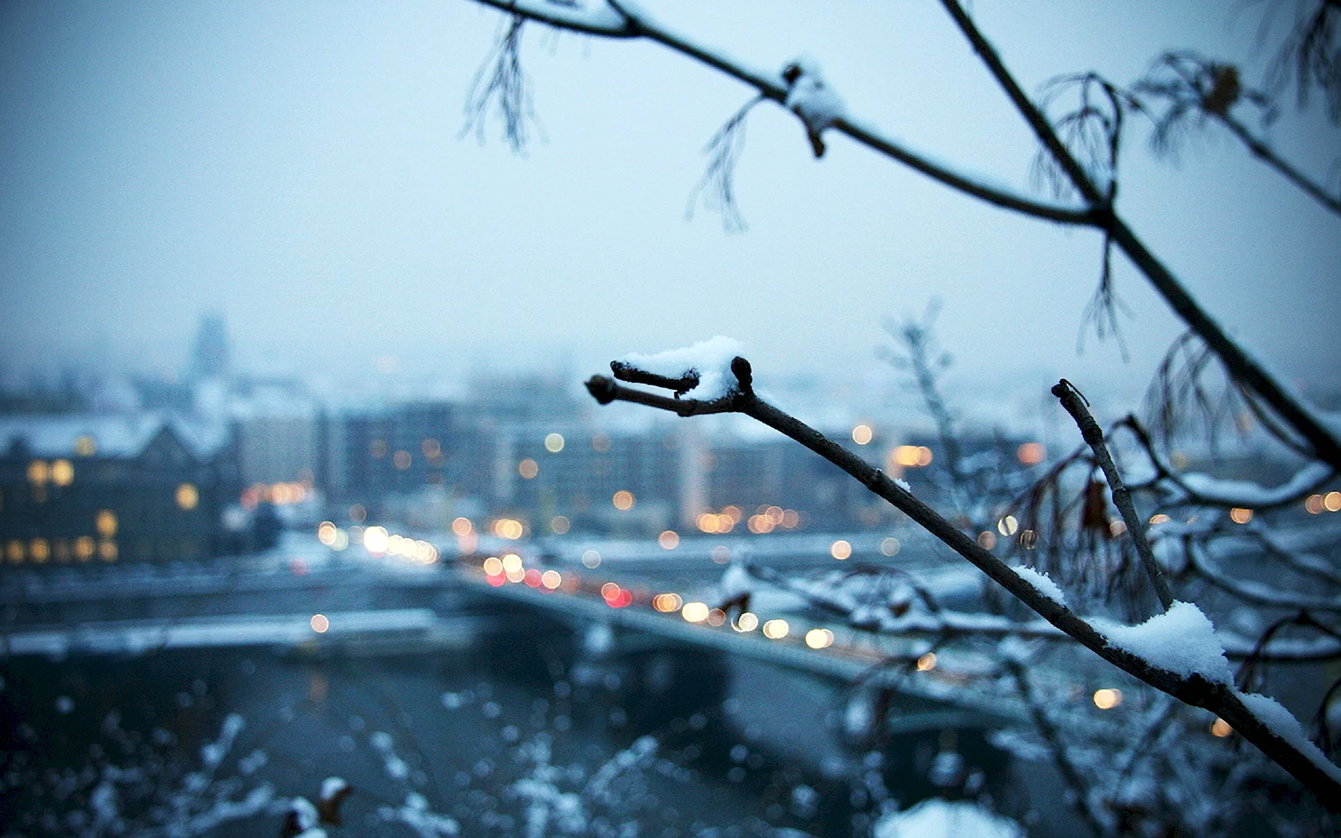 Зима в городе