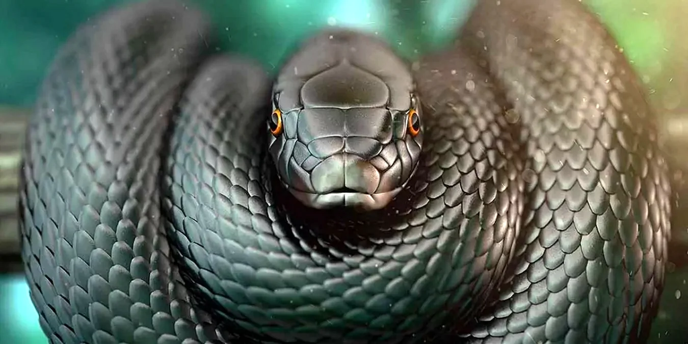 Змея чёрная мамба и Королевская Кобра