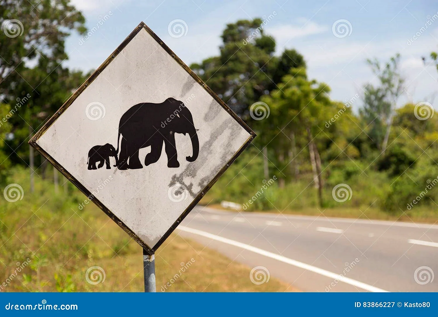 Знак осторожно слоны